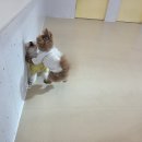 부여사나래캠핑농원 | 2026.01. 붉은 말의 해 다그닥🐎