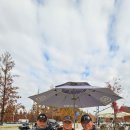 내장사 끝물 단풍과 담양 메타세쿼이어 투어~~^^ 이미지