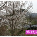 정경농장 이미지