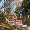 산들꼬마김밥 | 유명산 등산후기::가을산행추천 단풍구경등산 가평산 중 가장 쉬움(난이도 하)