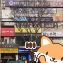 로얄편백쑥사우나