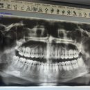 종남농장 | 아 그 뭐더라 그거