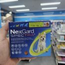 오렌지라임약국