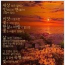 용수식당 네이버블로그
