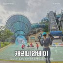 정문 | [캐리비안베이 토요일 오픈런] 메가스톰 20분 대기 꿀팁 &amp; 정문주차장 성공 후기