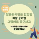 2024년 사회초년생 공무원대비반 | [강원랜드 멘토링 장학] 2월 소그룹 멘토링 후기 < 달콤하지만은 않았던 지방 공기업, 그럼에도 불구...