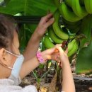 김종태농장 이미지