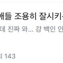 한국부모들 정도면 하준이들 조용히 잘시키는거란걸 깨달았다는 쉰시 이미지
