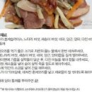 훈제오리 고기 요리 훈제오리 느타리버섯 볶음 만드는법 이미지