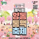 양동신발 | 맥주가 1,000원? 양동통맥축제 천원맥주와 전통시장 먹거리 후기