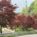 거창-신원-2 이미지