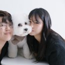 엘로디스튜디오