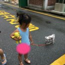 칠림폭포 이미지