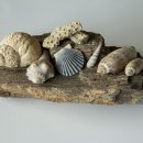 고연경로당 이미지