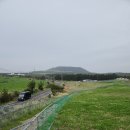 빅볼랜드 | [제주 구좌읍] 제주동쪽 액티비티 :빅볼랜드: 내돈내산 솔직 후기