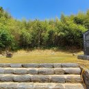 서재필박사 본가지 네이버블로그
