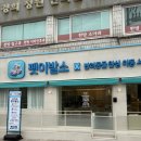 애견미용실 이미지