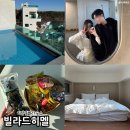 장관빌라 | 부산 기장 풀빌라 펜션 감성 숙소 빌라드히멜 수영장 후기