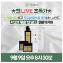 예가비 티스토리