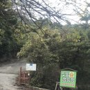 두밀숲캠핑장 이미지