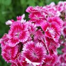 순재농장 이미지