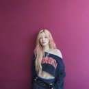 르무드헤어 이미지