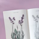 도문자작 이미지