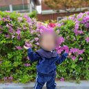 개미어린이집 이미지