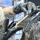 명화미용실 이미지