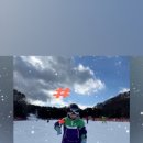 비발디스키아카데미