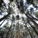 법기수원지 이미지