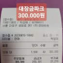 8/15. 용인 대장금파크 모임결산~ 이미지