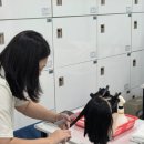 헤어실무(셀프미용 주간) | 헤어커트취미반 수원미용학원 왕초보도 두달이면 컷트 가능