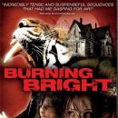 버닝 브라이트 (Burning.Bright, 2010 ) 미국ㅣ 액션 이미지