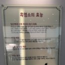 영동흑염소