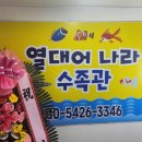 열대어나라수족관