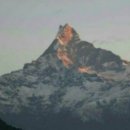 수행정사 이미지