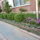 계산초등학교어린이집 이미지