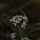 김씨농장 이미지