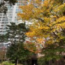 우리마을공인중개사사무소 이미지