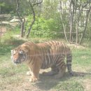 전주동물원 이미지