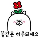 씨앤씨크린 - 남동구 만수로50번길 53 | 씨앤씨크린