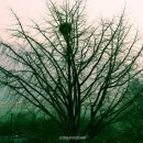 선바우농장 이미지