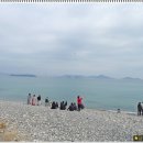 지심도 이미지