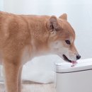 KH프라자 이미지