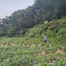 이정복농장 이미지