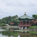 8월18일(월) 용산가족공원 (마감합니다) 이미지