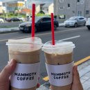 매머드익스프레스충무공점 이미지