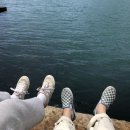 고피자(GO PIZZA) 마포구청점 | 2