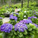 연호환경㈜ 이미지